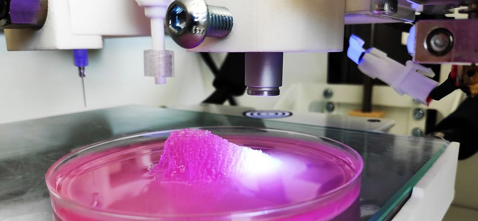 3D Bioprinter