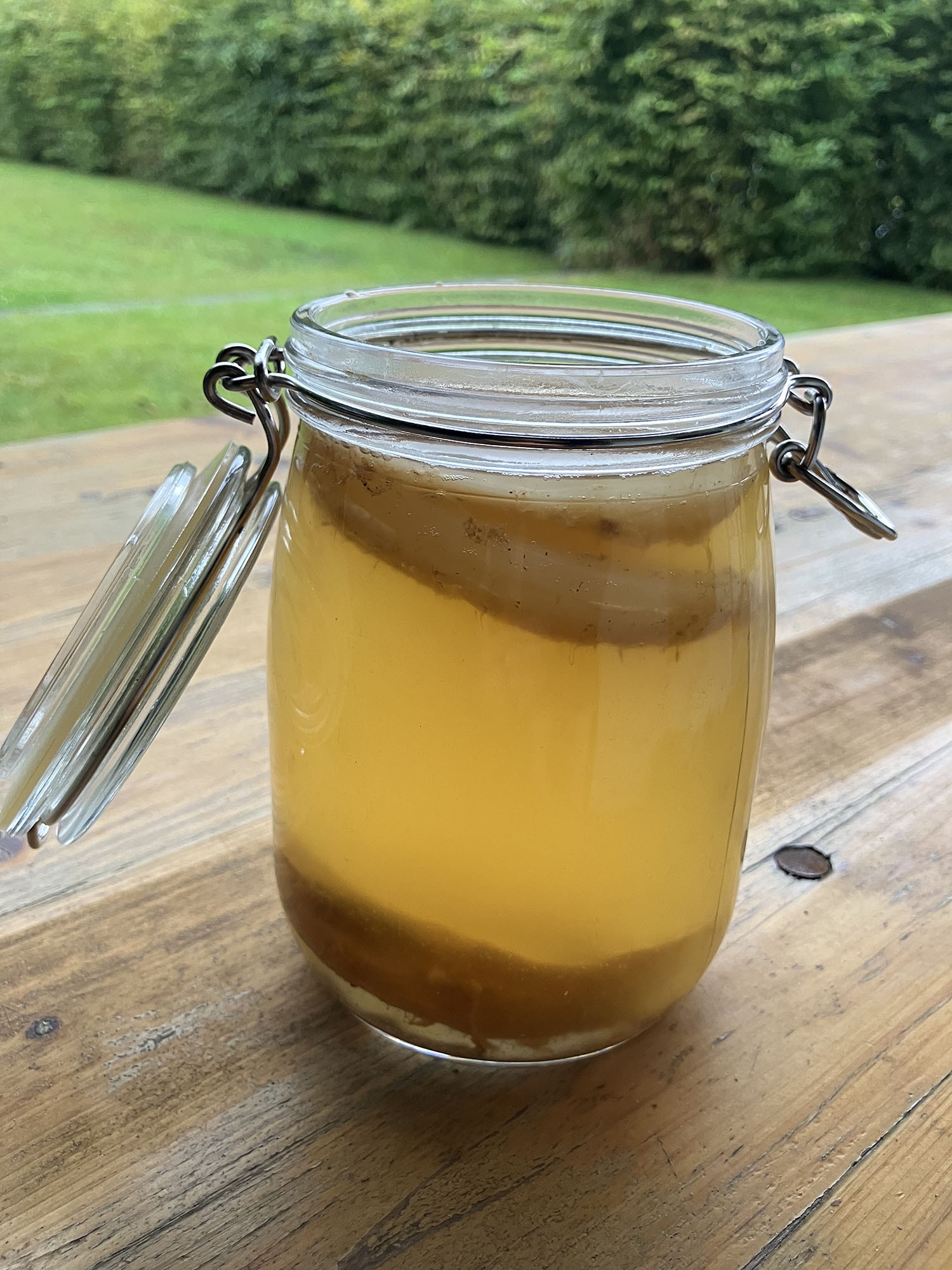 Kombucha